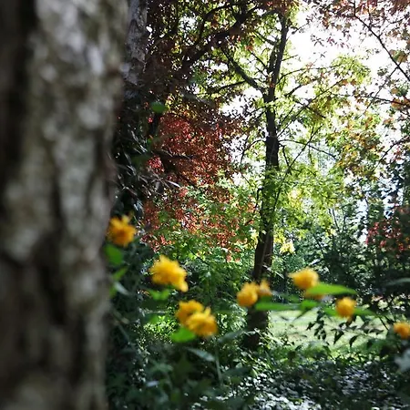 Marisa Bed & Breakfast Valeggio sul Mincio