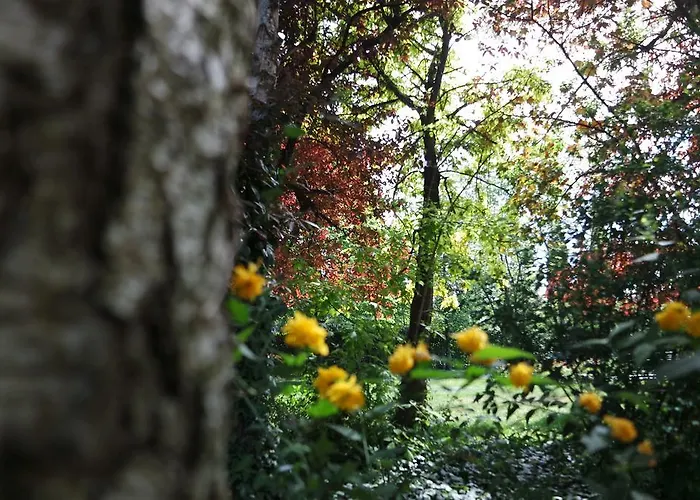 Marisa Bed & Breakfast Valeggio sul Mincio