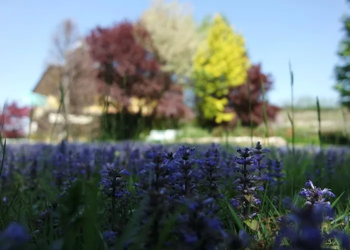 Marisa Bed & Breakfast Valeggio sul Mincio