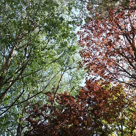 Marisa Отель типа 