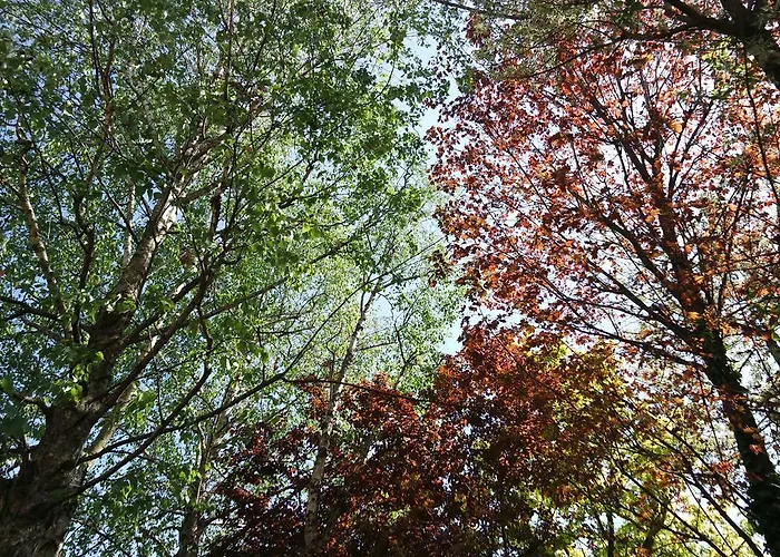 Marisa לינה וארוחת בוקר וליג'יו סול מיניציו